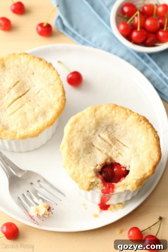 Two mini cherry pies on white plate