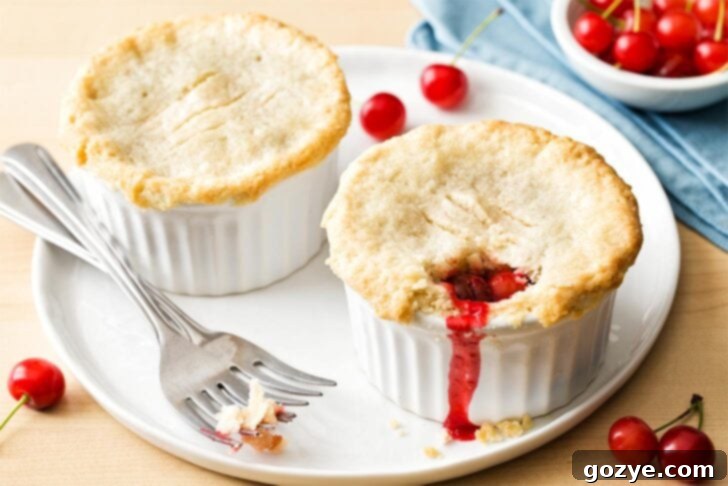 Two individual cherry pies