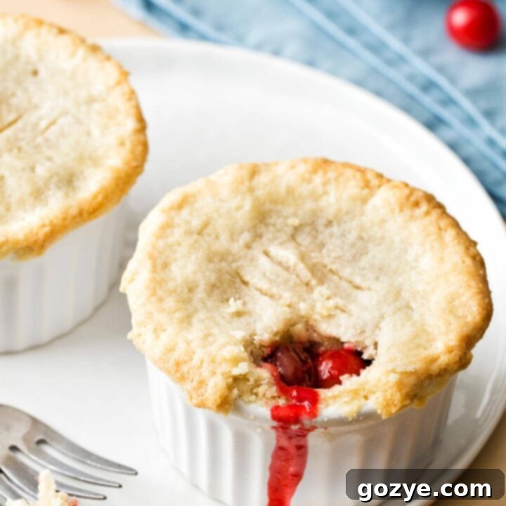 Close up of mini cherry pie on white plate