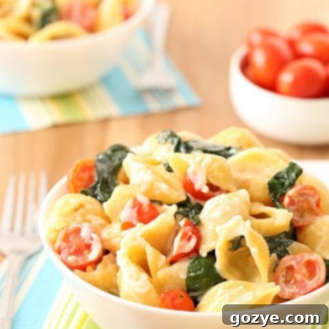 Vibrant Tomato & Creamy Goat Cheese Pasta with Spinach 5 Tomato, Spinach, and Goat Cheese Pasta
