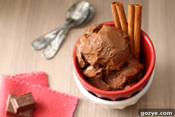 Scoops of Mexican Chocolate Ice Cream with visible specks of cinnamon and chili powder, ready to be enjoyed.