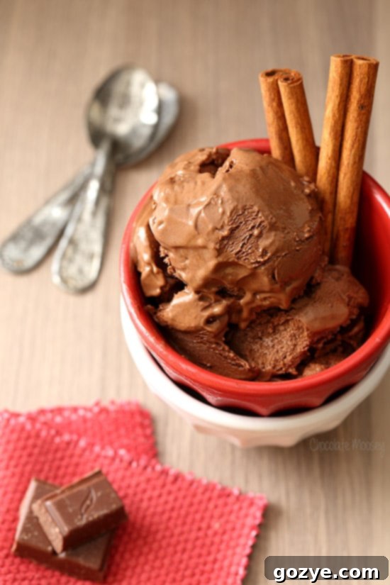 Close-up of Mexican Chocolate Ice Cream in a bowl, showcasing its smooth, creamy texture and dark chocolate color.