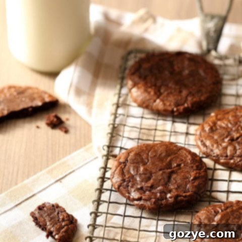 Small Batch Brownie Cookies