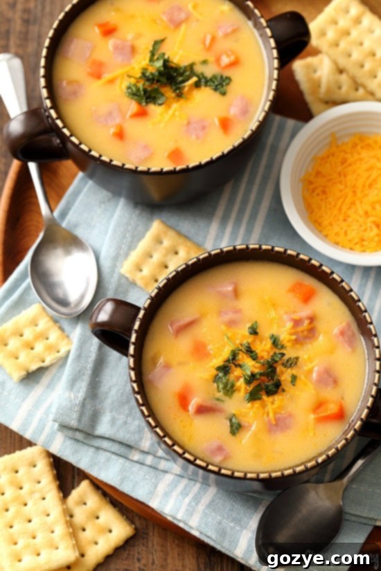 two bowls of ham and cheese soup, garnished with fresh herbs