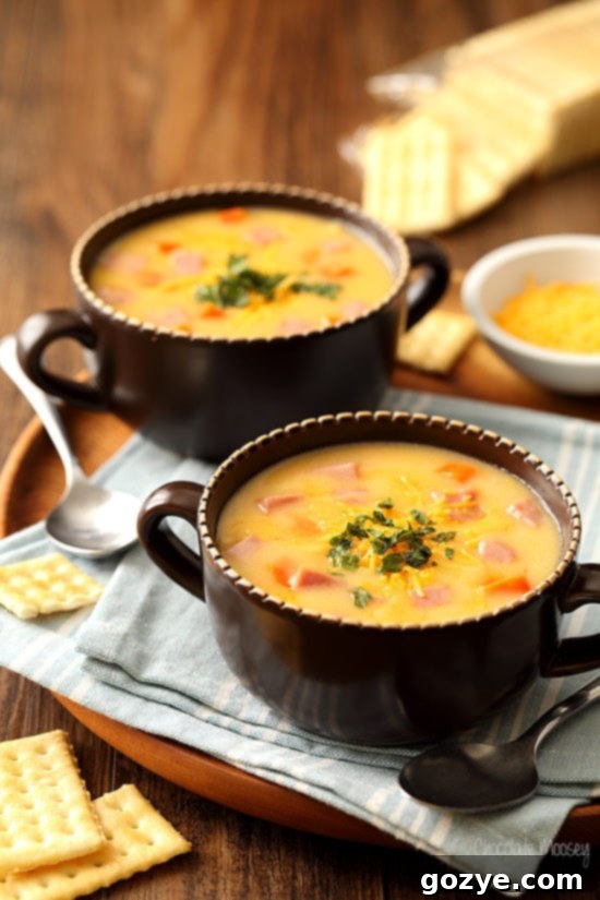 two bowls of ham and cheese soup, close up