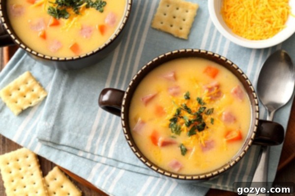 close up of two bowls of ham and cheese soup with bread