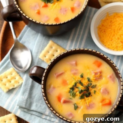 Ham and Cheese Soup