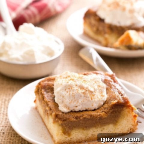 Apple Butter Gooey Butter Cake