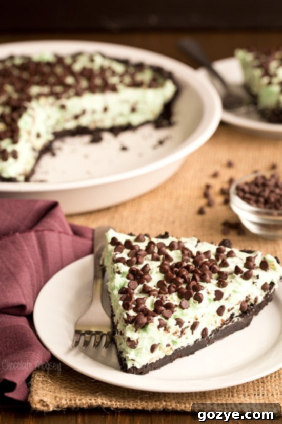No Bake Mint Chocolate Chip Pie
