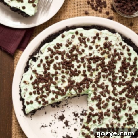 No Bake Mint Chocolate Chip Pie