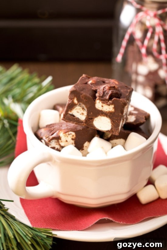 Hot Chocolate Fudge in a white mug