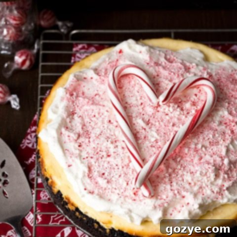 Peppermint Cheesecake