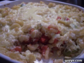 A dish of freshly baked Pastitsio, a Greek pasta casserole with a golden brown top