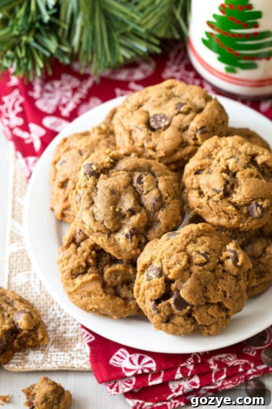 Close up of a freshly baked Gingerbread Chocolate Chip Cookie showing melted chocolate