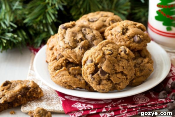Gingerbread Chocolate Chip Cookies dough ready for chilling