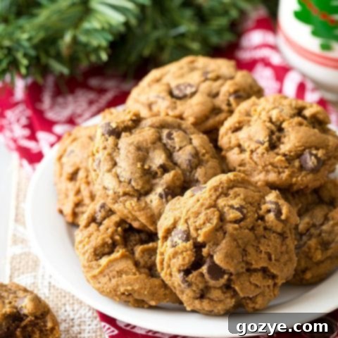 Perfectly baked Gingerbread Chocolate Chip Cookies
