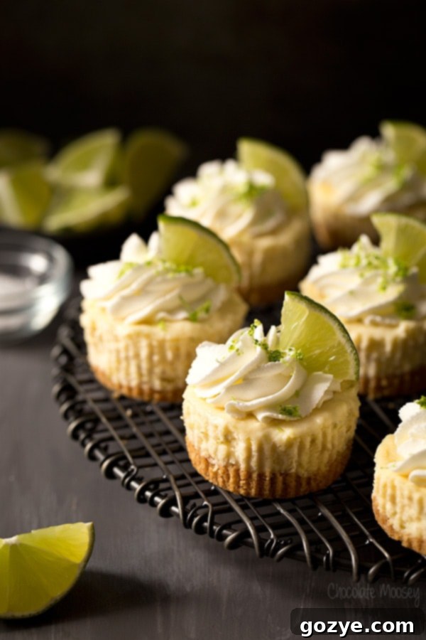 Beautifully garnished Mini Margarita Cheesecakes with fresh lime slices