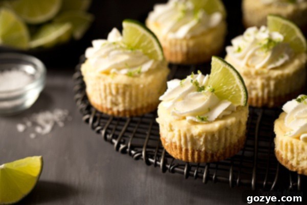 Close-up of two Mini Margarita Cheesecakes garnished with lime slices