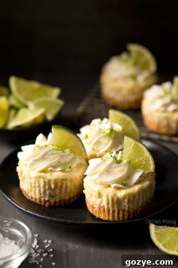 Three perfectly baked Mini Margarita Cheesecakes on a white plate