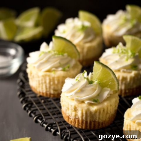 Lime and Tequila Cheesecake Bites 6 Mini Margarita Cheesecakes