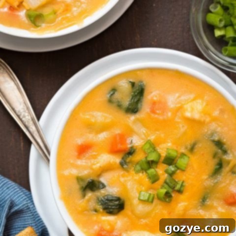 Hearty Cheesy Chicken Potato Chowder 5 Cheesy Chicken Potato Soup