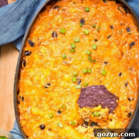 Delicious Chicken Enchilada Dip topped with green onions