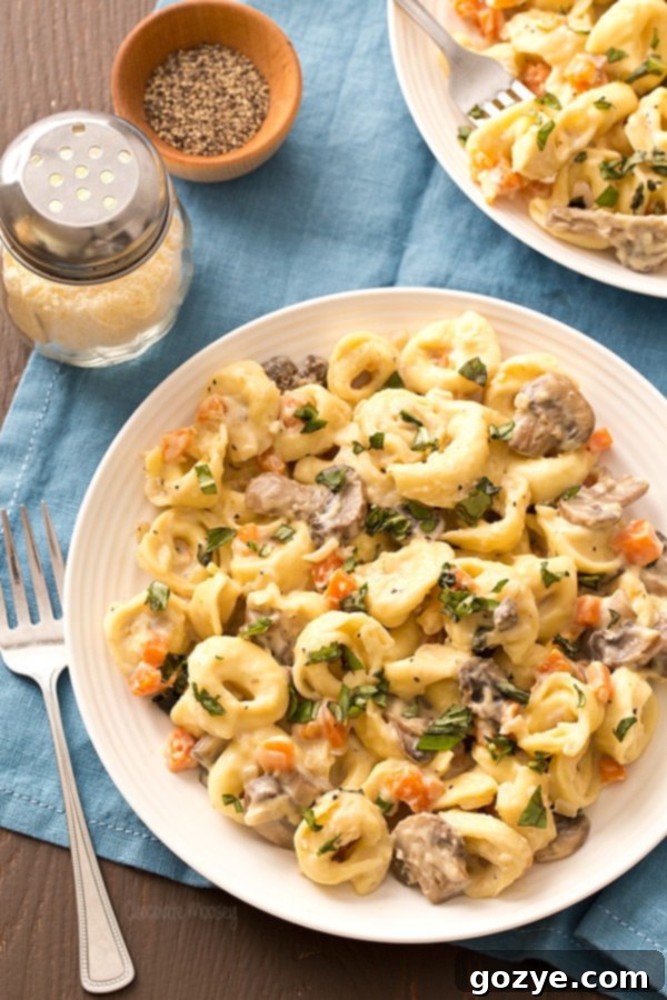 Portobello Mushroom Cheese Tortellini with alfredo sauce