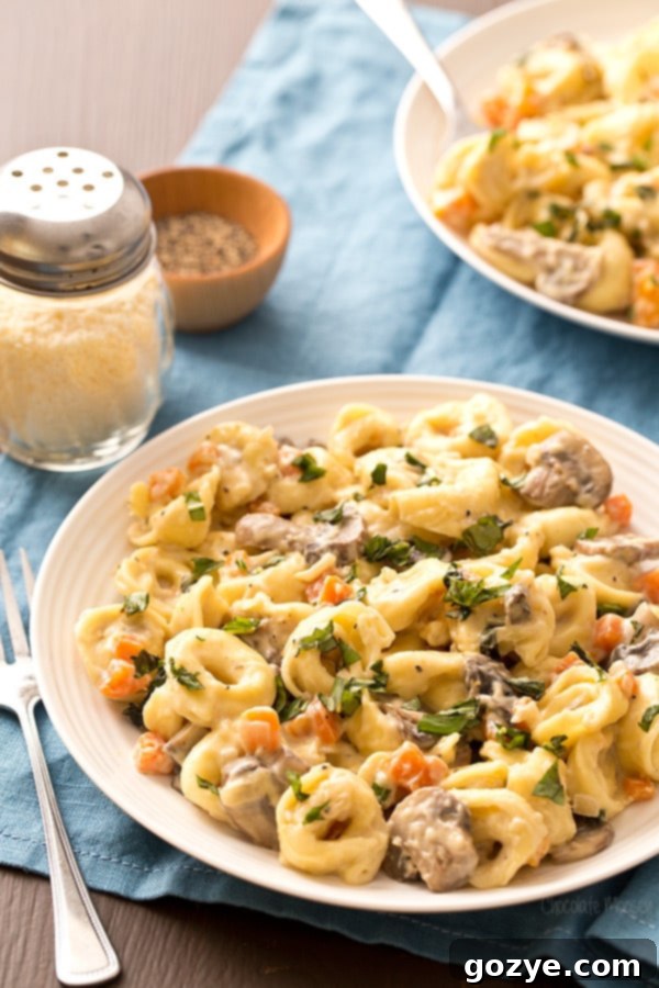 Portobello Mushroom Cheese Tortellini with alfredo sauce