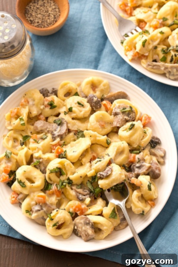 Portobello Mushroom Cheese Tortellini with alfredo sauce