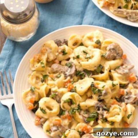 Portobello Mushroom Cheese Tortellini