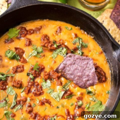 Mexican Beer Cheese Dip with Chorizo and Jalapeno