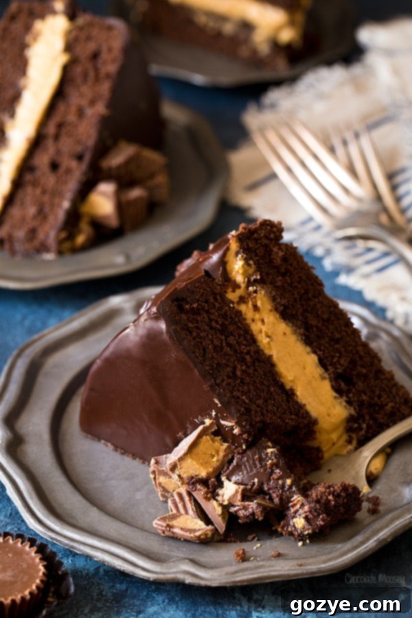 Buckeye Layer Cake (Chocolate Peanut Butter Fudge Cake)