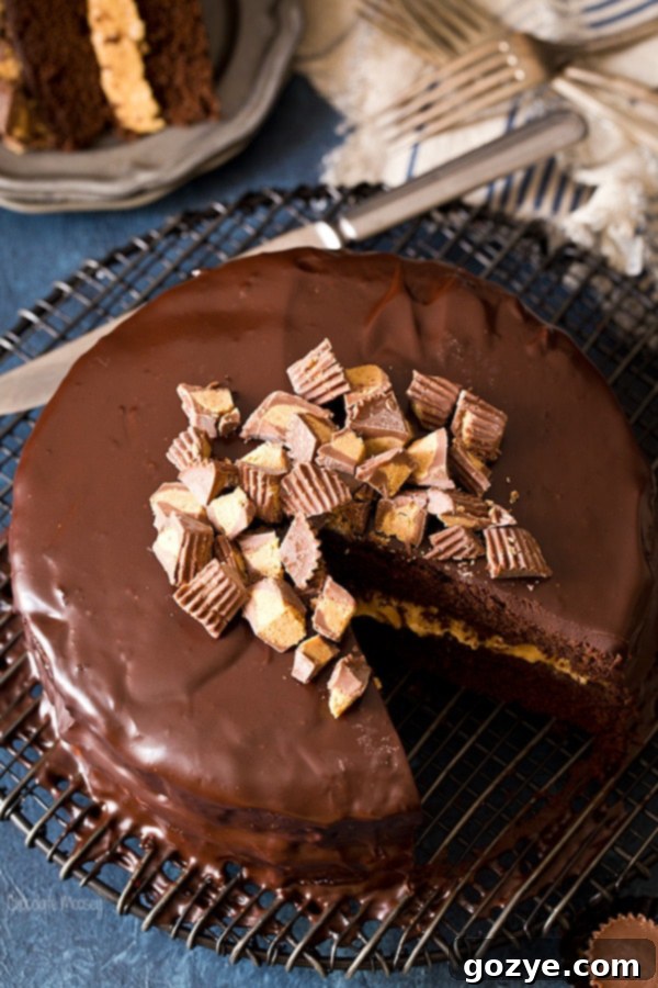 Buckeye Layer Cake (Chocolate Peanut Butter Fudge Cake)