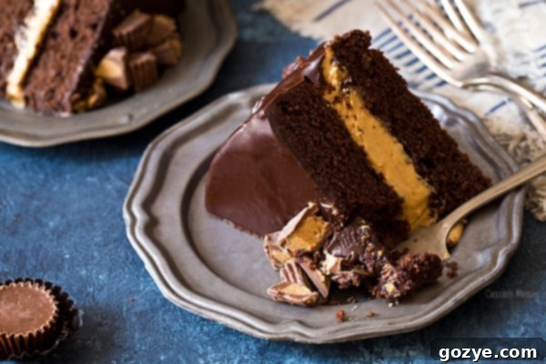 Buckeye Layer Cake (Chocolate Peanut Butter Fudge Cake)