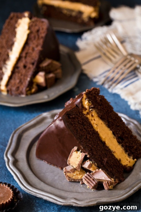 Buckeye Layer Cake (Chocolate Peanut Butter Fudge Cake)