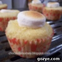 Baked Alaskaette Cupcakes Recipe Card Image
