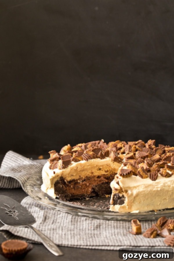 Buckeye Ice Cream Cake (Chocolate Peanut Butter)