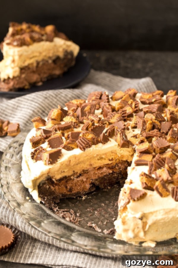 Ultimate Chocolate Peanut Butter Ice Cream Cake 3 Buckeye Ice Cream Cake (Chocolate Peanut Butter)