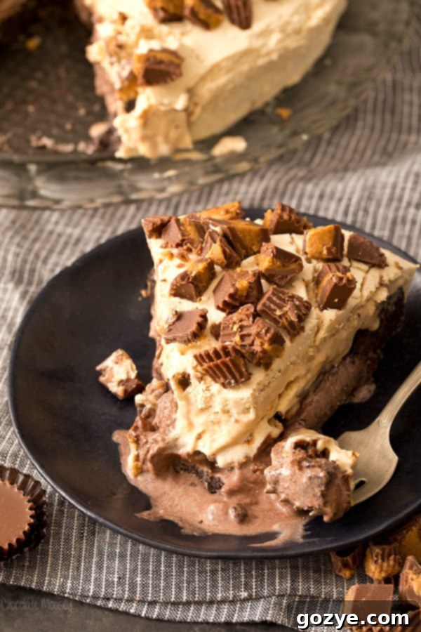Ultimate Chocolate Peanut Butter Ice Cream Cake 5 Buckeye Ice Cream Cake (Chocolate Peanut Butter)