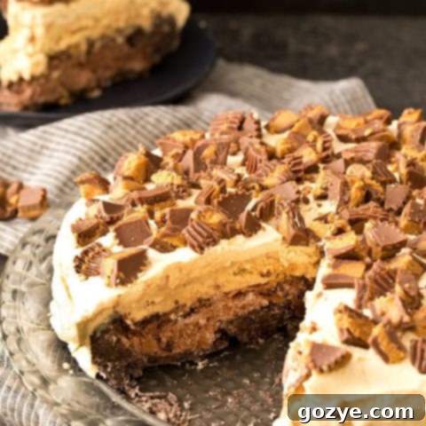 Frozen Peanut Butter Chocolate Dream 6 Buckeye Ice Cream Cake (Chocolate Peanut Butter Ice Cream Cake)