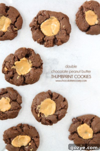 Decadent Double Chocolate Peanut Butter Thumbprint Cookies 2 Double Chocolate Peanut Butter Thumbprint Cookies with rich chocolate and peanut butter swirl