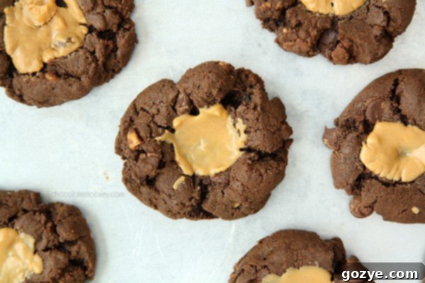 Decadent Double Chocolate Peanut Butter Thumbprint Cookies 3 Double Chocolate Peanut Butter Thumbprint Cookies arranged on a cooling rack