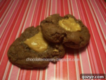 Decadent Double Chocolate Peanut Butter Thumbprint Cookies 4 Original photo of Double Chocolate Peanut Butter Thumbprints from 2008