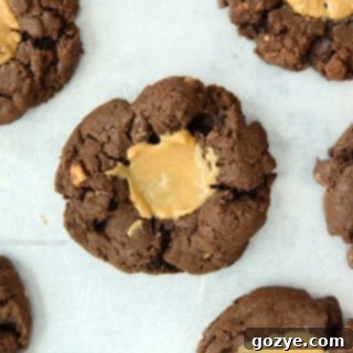 Decadent Double Chocolate Peanut Butter Thumbprint Cookies 5 Double Chocolate Peanut Butter Thumbprint Cookies on a white plate