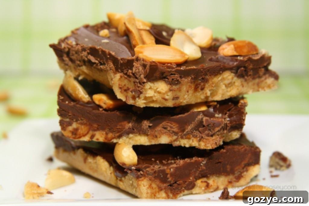 Decadent Double Chocolate Peanut Butter Thumbprint Cookies 8 Chocolate Peanut Butter Squares