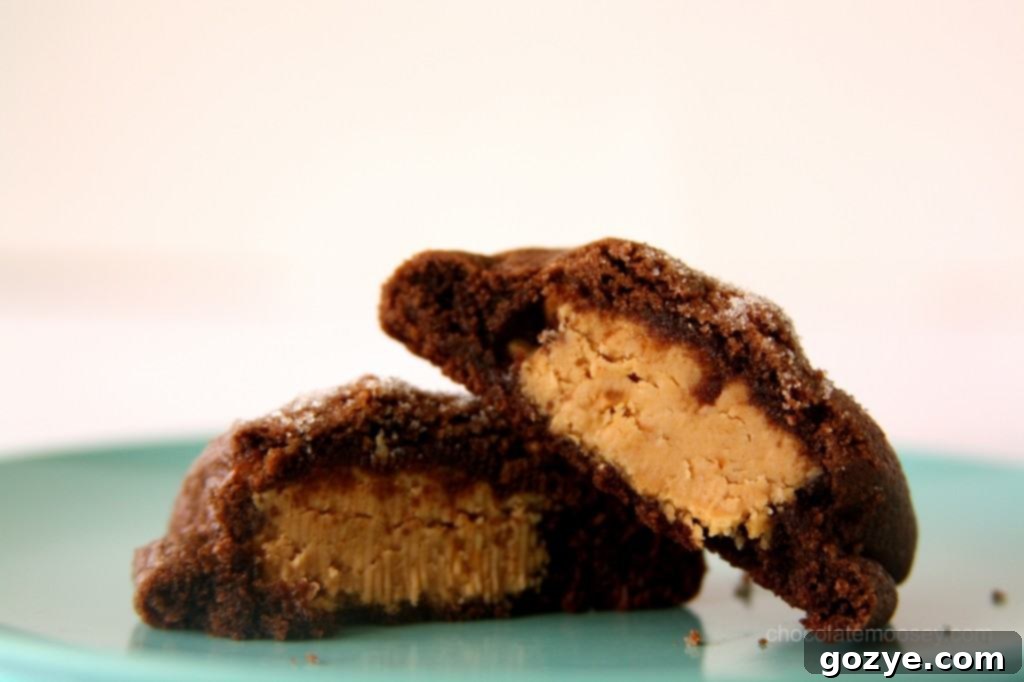 Decadent Double Chocolate Peanut Butter Thumbprint Cookies 9 Peanut Butter Stuffed Chocolate Cookies