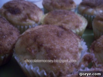 Close-up of baked Sweet Applets muffins with a cinnamon-sugar coating
