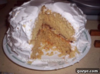 Delicious Peanut Butter and Jelly Cake with fluffy white marshmallow frosting, ready to be served on a white plate.