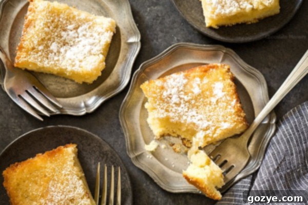 No need to drive to St. Louis when you're craving St Louis Gooey Butter Cake - a flat, dense cake with gooey, buttery center topped with a touch of powdered sugar. Grab your fork and dig it!