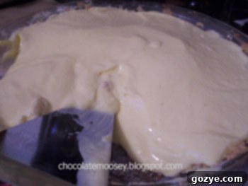 A photo of the finished French Lemon Cream Tart, presented as a pie.